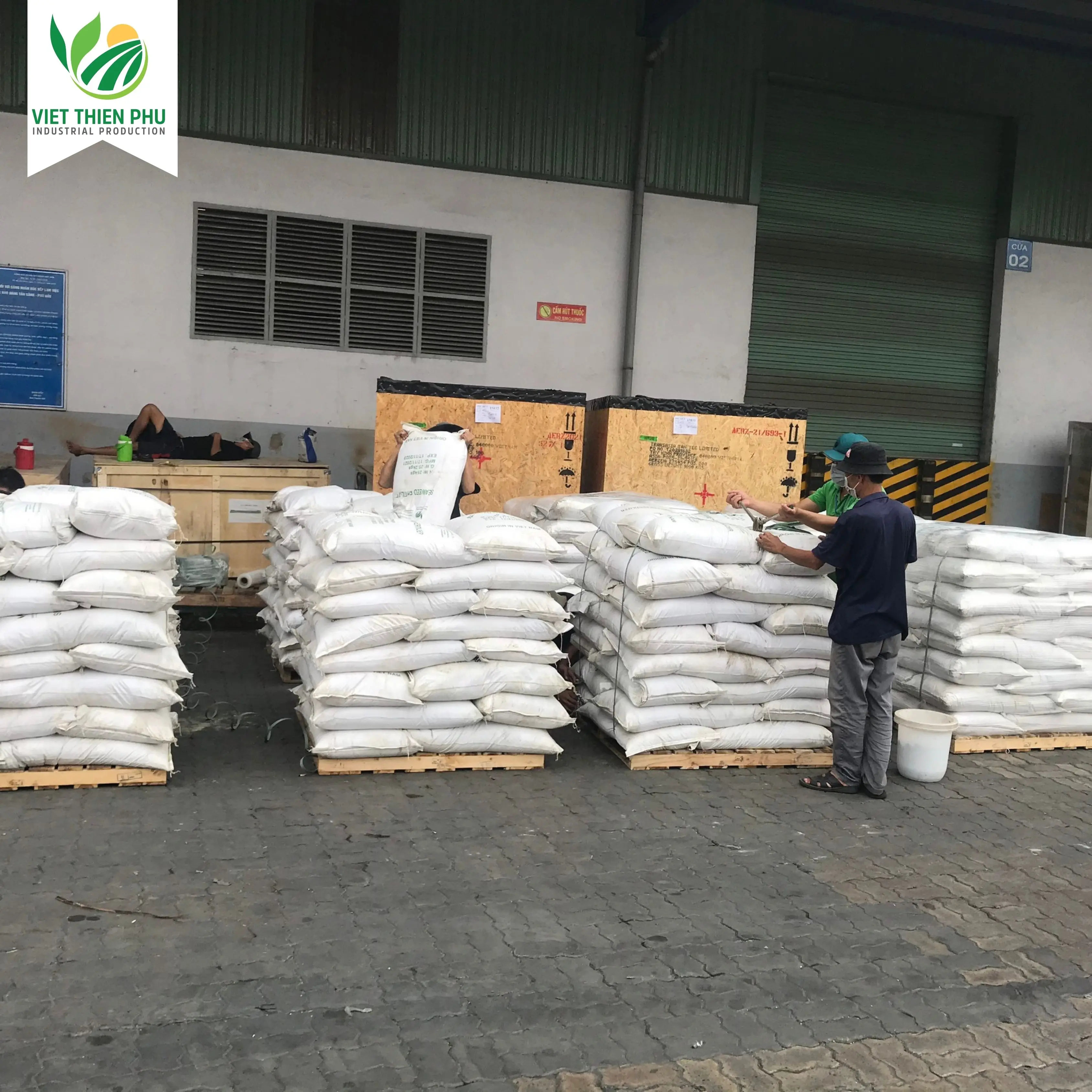 VIET THIEN PHU VTP/OL-50 Fertilizer Green Seaweed Powder /Green Seaweed Meal For Animal Feed