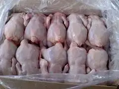 Халяльная цельная курица Бразильская