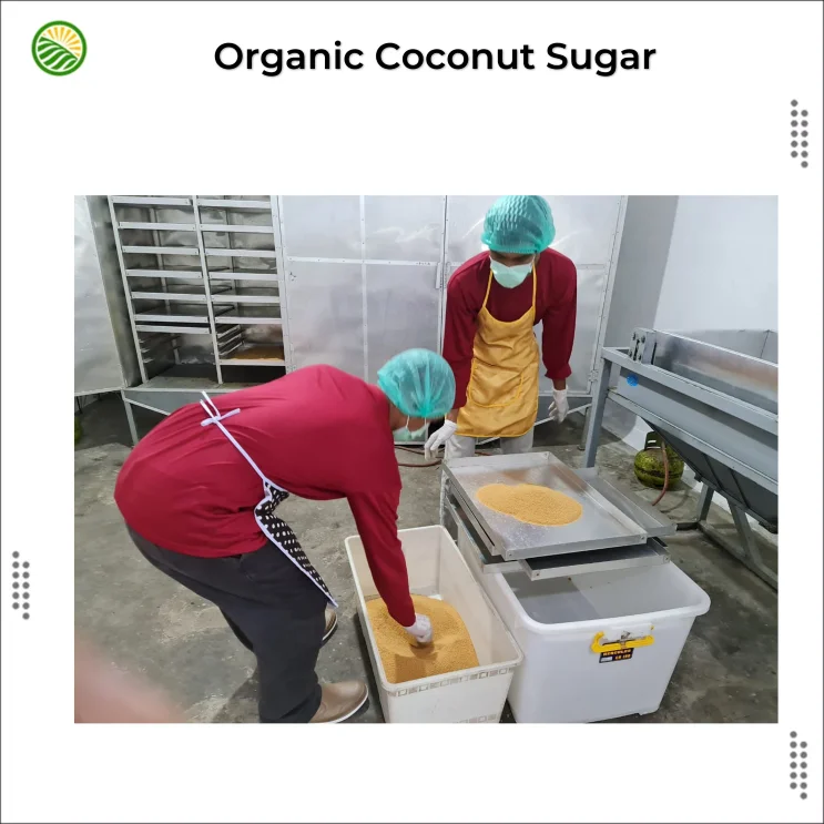 Organic Unrefined Coconut Sugar/ High Quality Natural Coconut Sugar/ Coconut Sugar From Indonesia