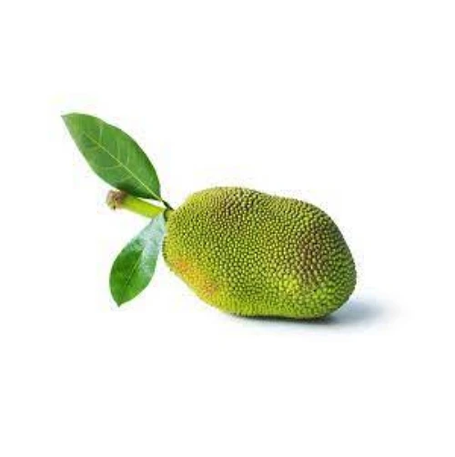 Jackfruit 100% Maturity Fresh Jackfruit With Organic Cultivation High Quality And Carefully Packaged