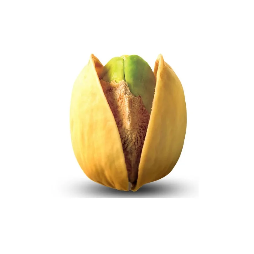 Best Quality Hot Sale Price Raw Dried Pistachio Nuts From Canadian Supplier