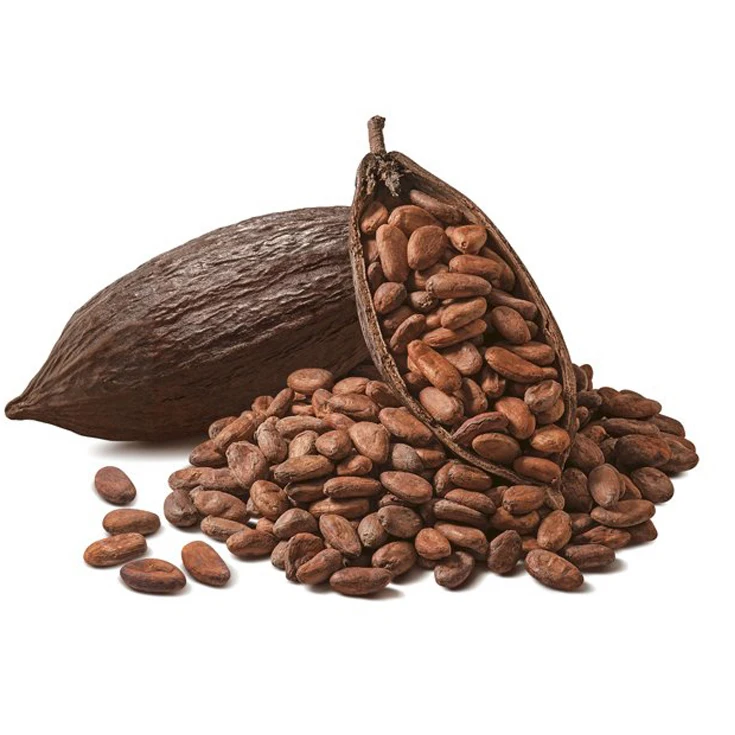 Bake Material Natural Wholesale Price Dried Raw Cocoa Beans Coco Bean for Sale