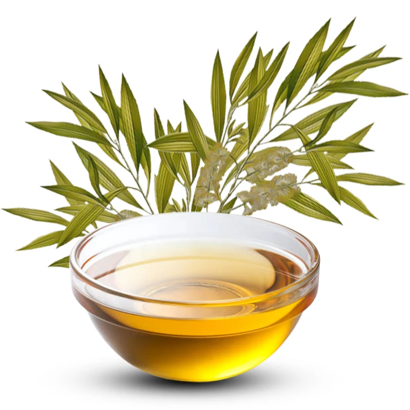 Cajeput Essential Oil with Organic Certificate Factory supply wholesale Essential Oils at best price with Quality certificate