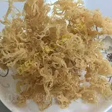 Сырой морской мох для экспорта продуктов питания с большим количеством лучшее качество и самая низкая цена производитель Вьетнам/Шин Тран