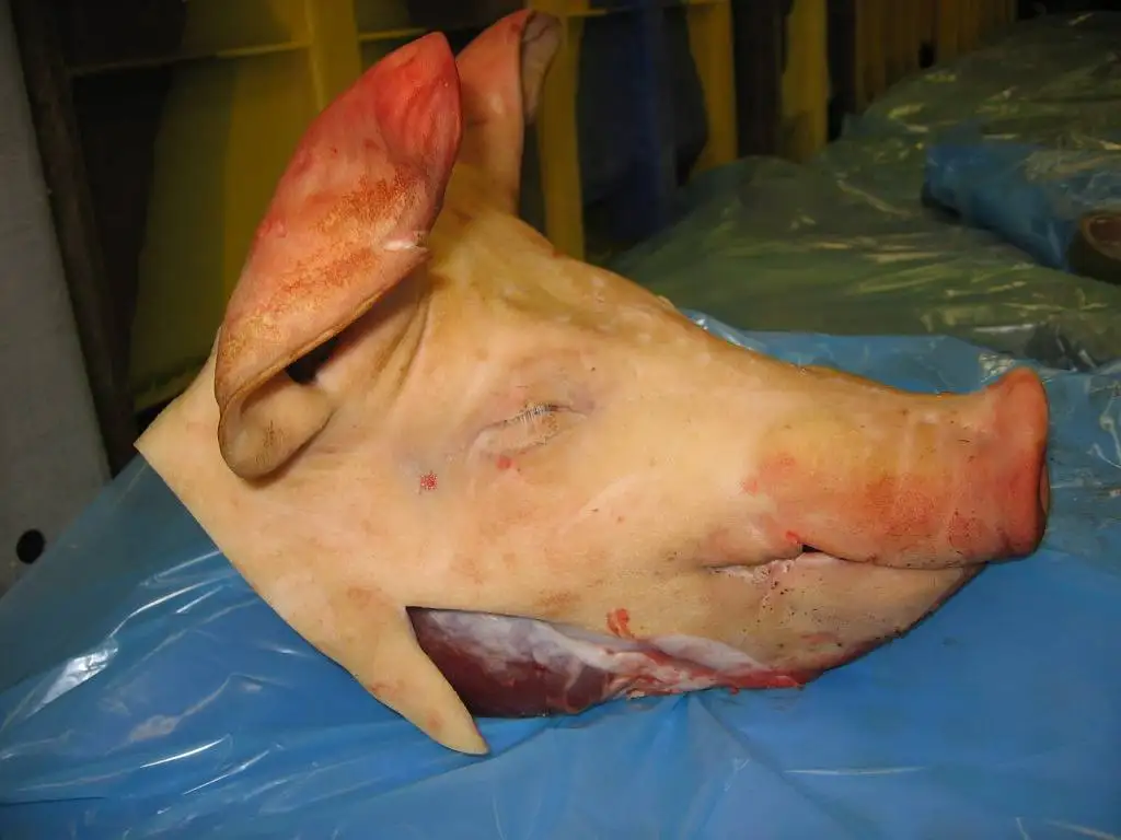 High Quality Frozen Pork Heads Whole or Half Pork Ears