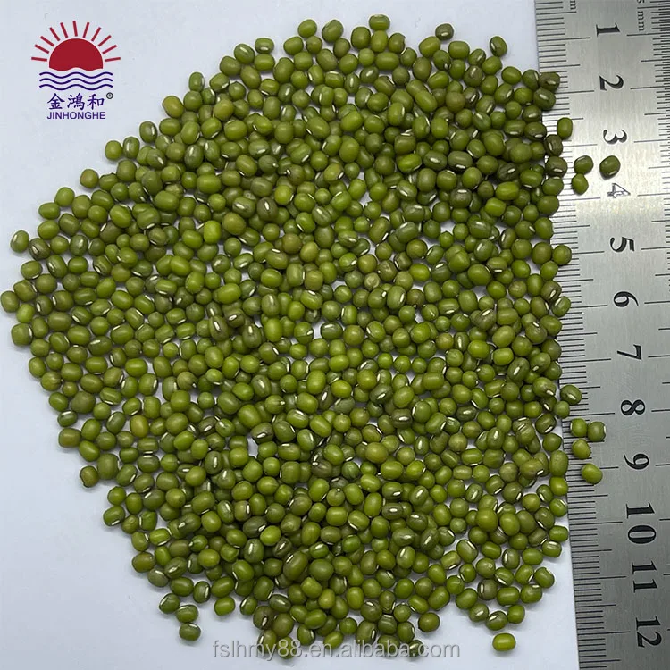Hot green sprouted broad mung bean