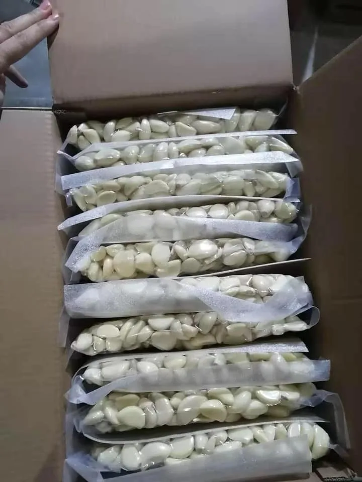 PEELED GARLIC in vacuum bag 1kg