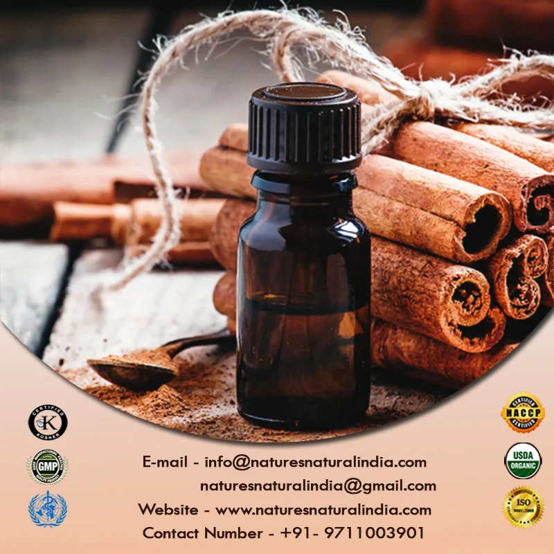 Factory Supply Top Quality Cinnamon Bark Oil at Bulk Wholesale Rates High Concentrated Fragrance Oils for Candle Making