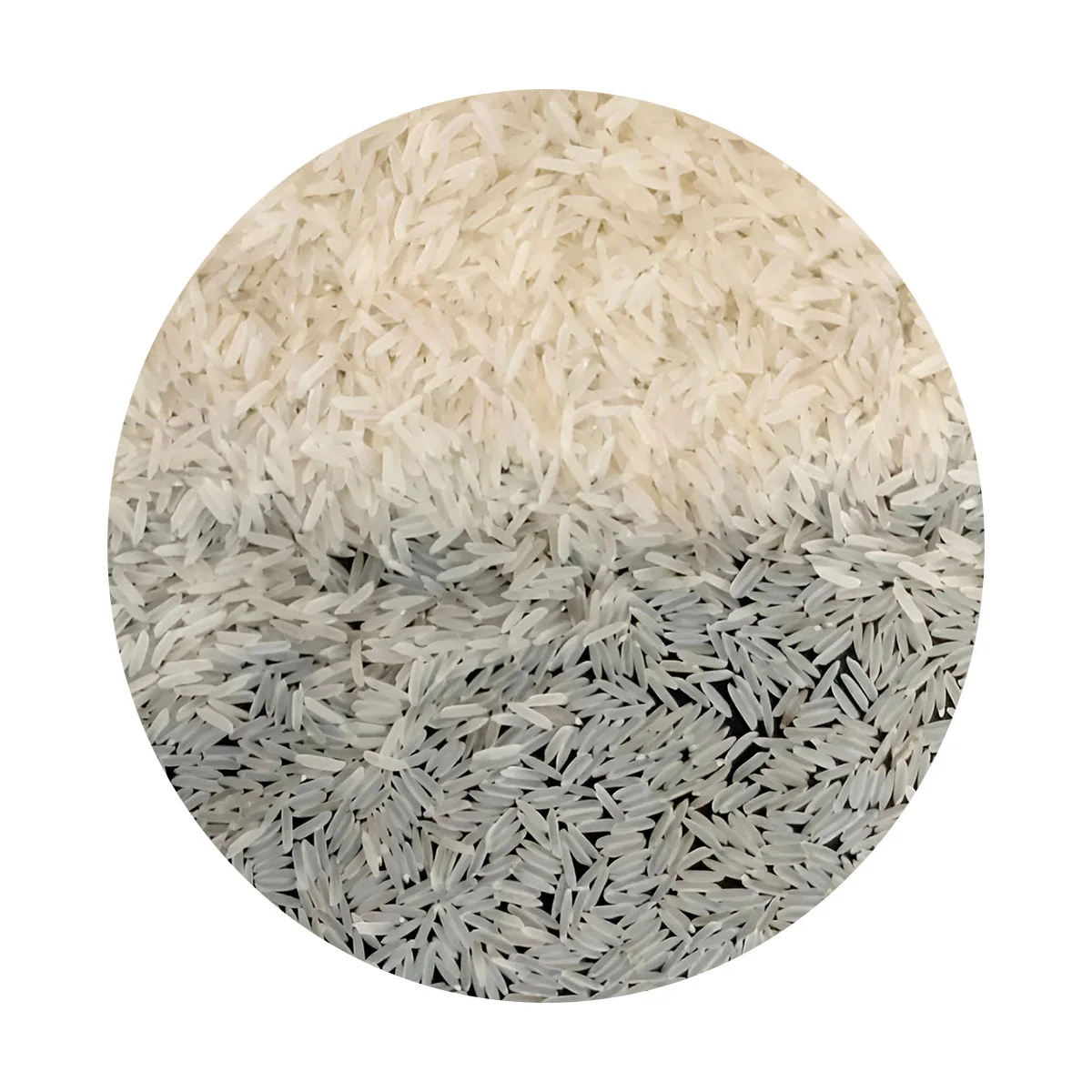 Quality Indian basmati rice organic from ecological region manufacturer prices