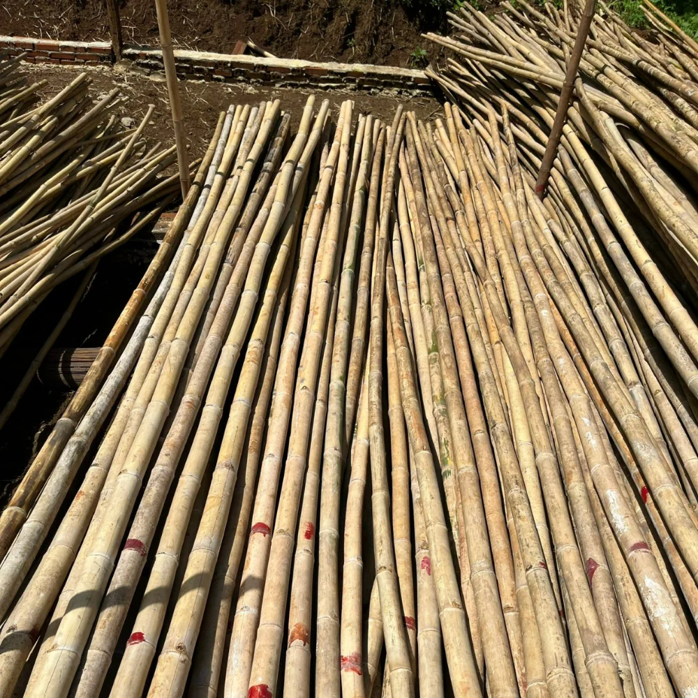 High Quality Durable Feature For Decor And Construction Bamboo Cane with Cheap Price Raw Cut Bamboo Pole Price