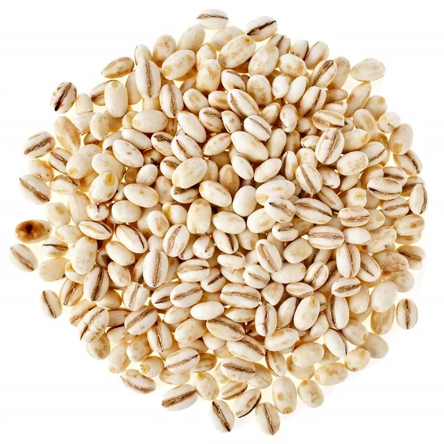 Non-GMO Barley Grain Seeds for Sale | 25 kg Whole Grain Barley - Ottawa Valley Grain Products