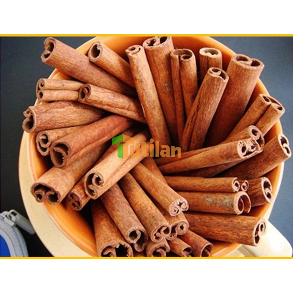 Wholesale Cinnamon Spices Stable Importer of Spices Quality Buyers of Cinnamon