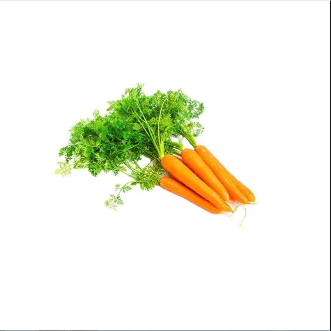 chinese fresh carrot S M L 2L 3L Shandong new crop Qingdao port