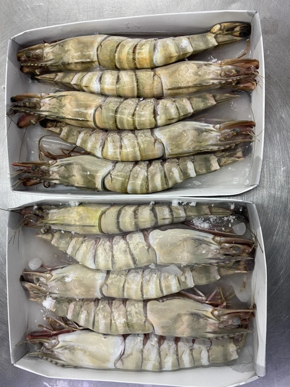 Vietnam Shrimp HOSO Black Tiger Shrimp SEMI IQF Frozen Fresh Head On Shell On Custom Packing High quality