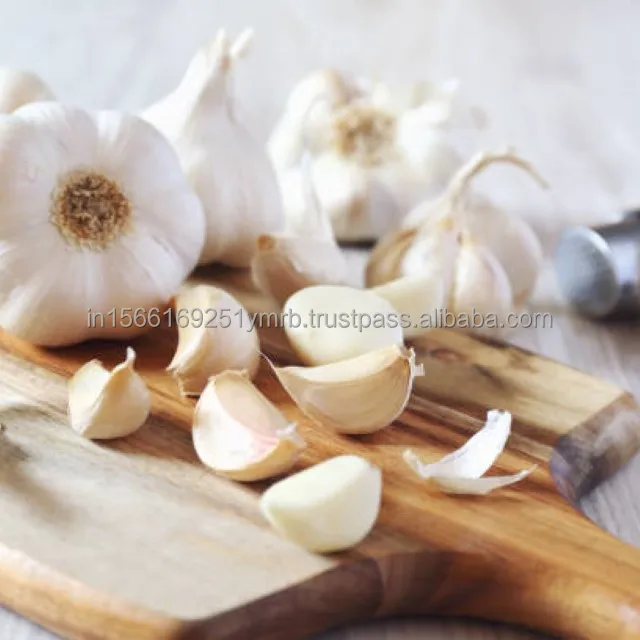Garlic Healthy Raw Materials Organic Fresh Garlic