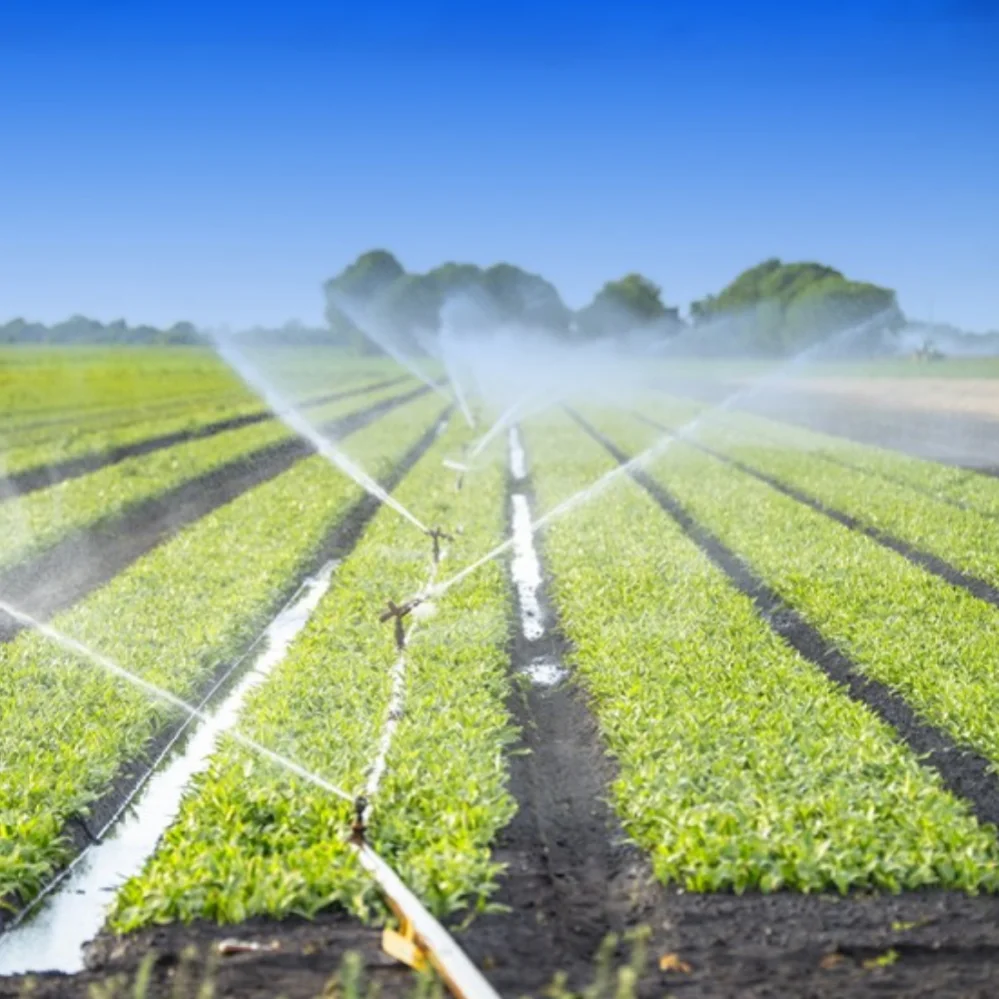 PE SPINKLE IRRIGATION PIPE 6M Product Wholesale Best Price AGRICULTURAL MACHINERY & EQUIPMENT Categories Sprinkler Rotary