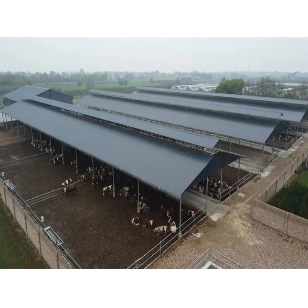 cattle farm building  Steel Cattle Barns Cow Farm Structures Durable Cattle Housing