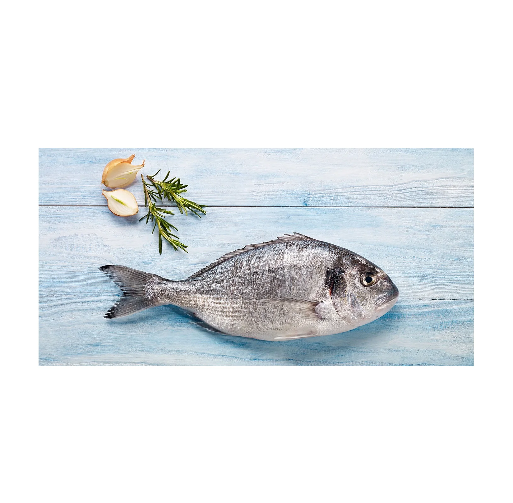 Highest Quality Best Price Direct Supply Black / Red seabream fish from Brazil sea bream Bulk Fresh Stock Available For Exports