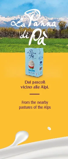 High quality Italian Cream La panna di Pa 38% Tetrabrick 1L for HORECA and shop