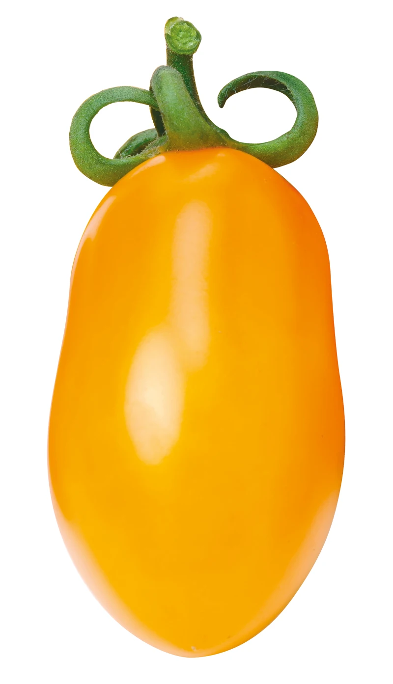 High Italian Quality Premium Quality Ready delicate taste Yellow Cherry Tomatoes 400g can for Wholesale