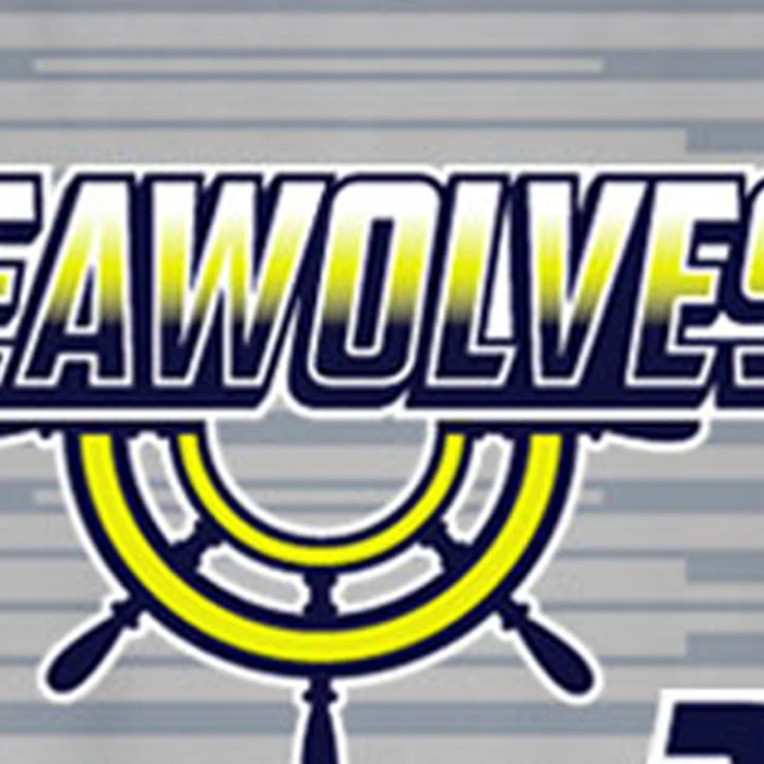 Wholesale Blue Jays American League baseball jersey for adults top quality brand