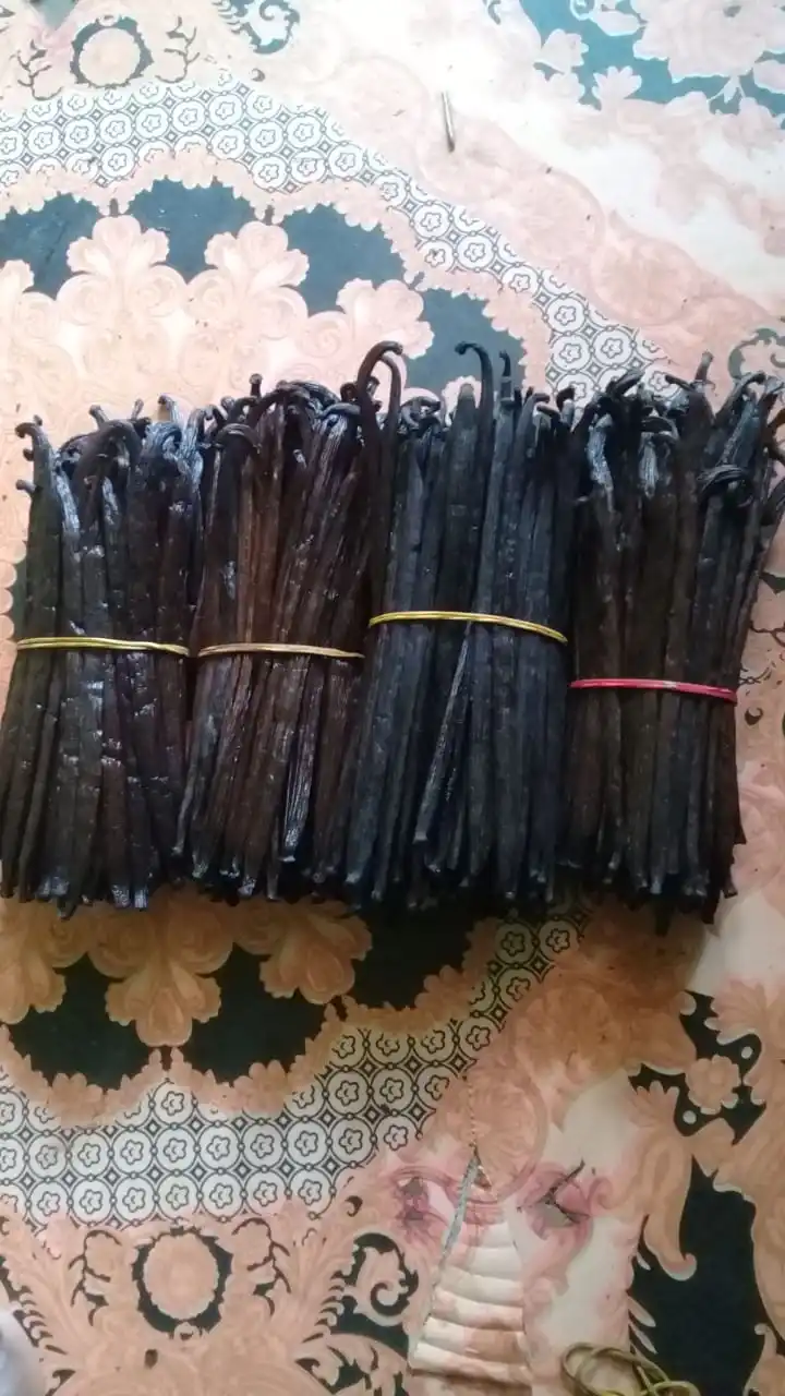 Vanilla tahiti or planifolia Grade 1