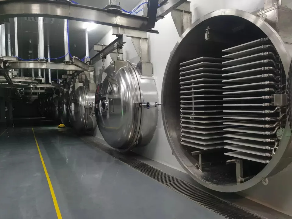 Vacuum Freezer Dryer Drying Vegetable Fruit Lyophilize Equipment Large Machine And Equipment