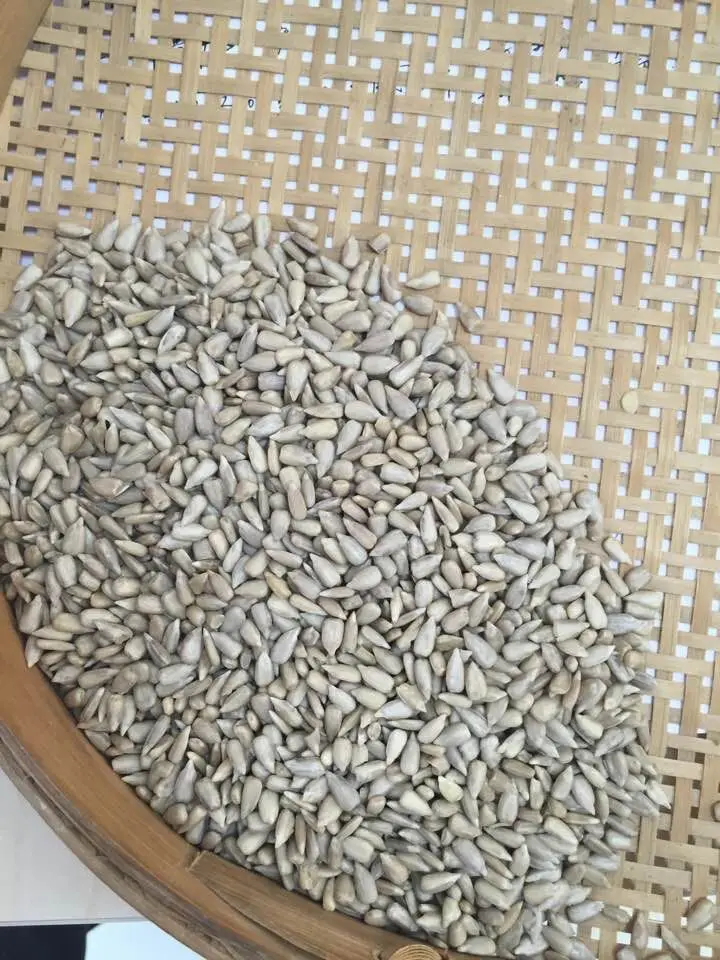 High Quality Sunflower Seeds-White Sunflower Kernels 100% natural bulk sunflower seed kernels oil seeds