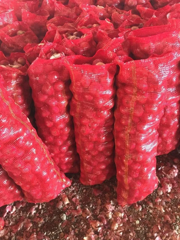 Wholesale Price 100% Natural Red Onion Quality Assured Fresh Onion / Indian Grade Onion Buy From Indian Manufacturer