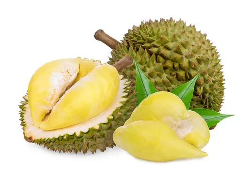durian fruit musang king durian malaysia