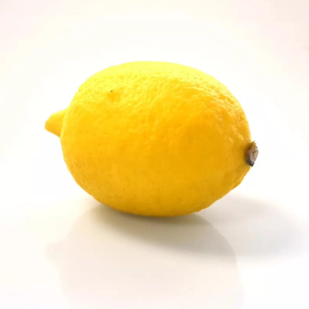 Best Quality Custom Made Wholesale fresh Limen Natural Fresh Lime