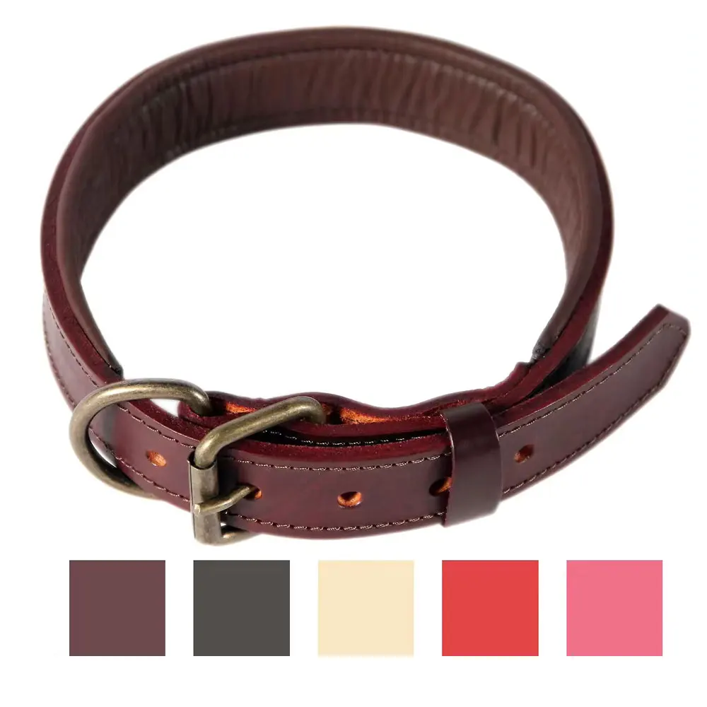 Индивидуальные кожаные ошейники для собак, персонализированный дышащий ошейник для собак