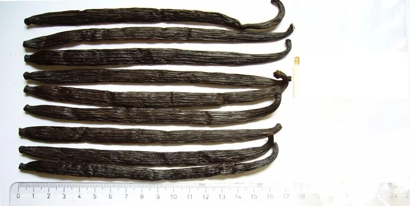 Organic Vanilla Beans