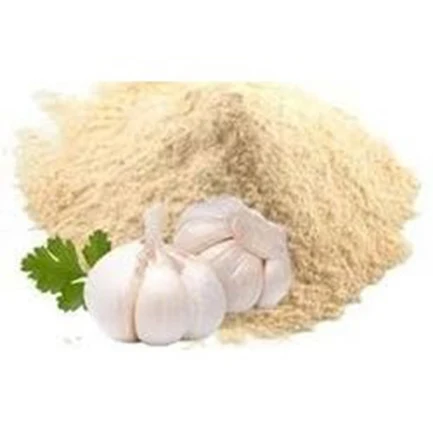 Hot Selling Private Label Garlic Extract Powder Affordable Price Fresh Air Dried Garlic Garlic Powder For sale