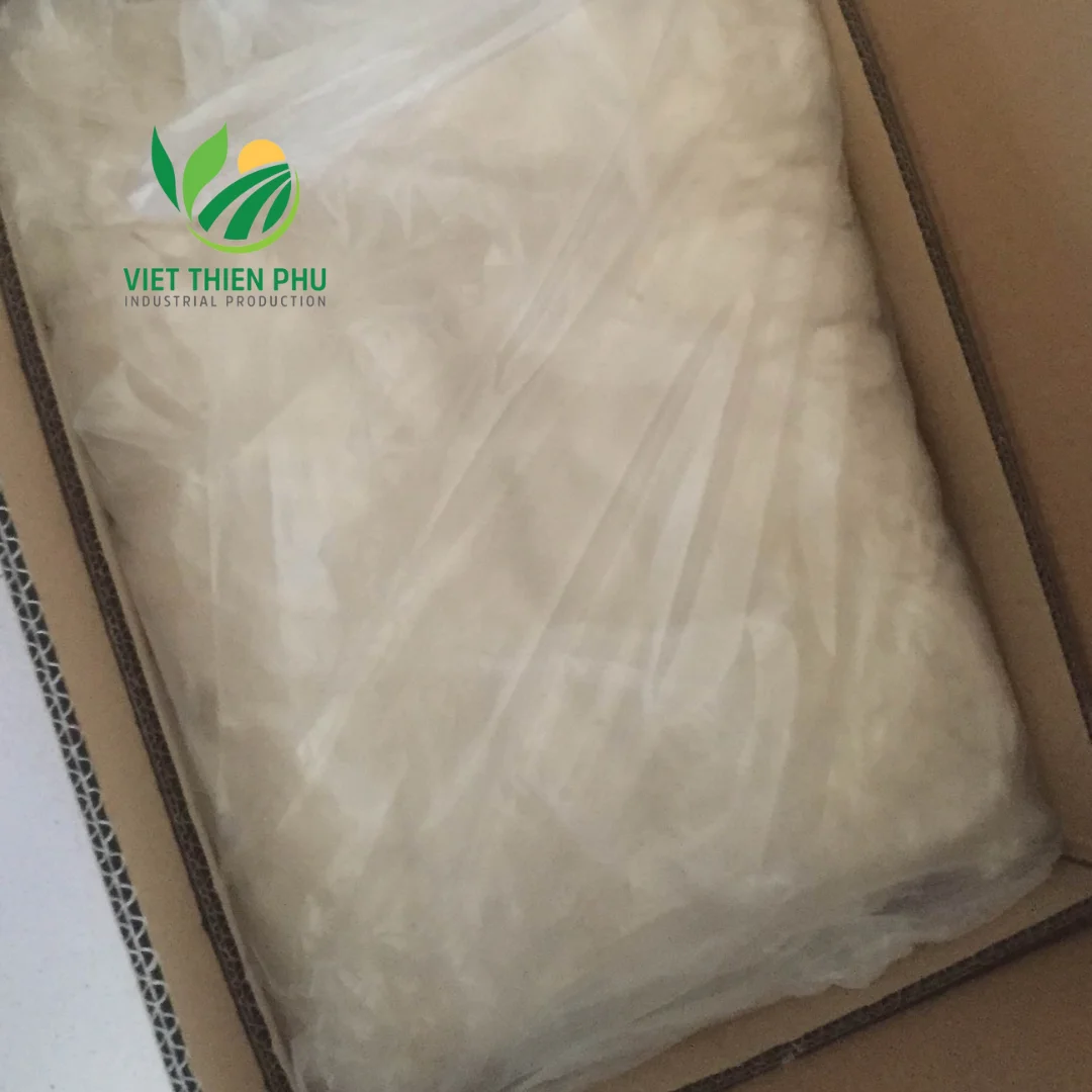 VIETNAM RAW NATA DE COCO/DRIED COCONUT JELLY-BEST QUALITY COCONUT PRODUCTS 100% FROM NATURAL