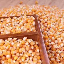 High Quality Organic Yellow Maize Bulk-Dried Corn for Animal Feed