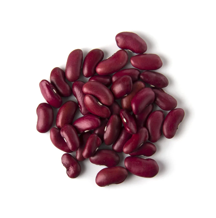 Buy Cheap Dark Red Kidney Beans Long Shape for Sale