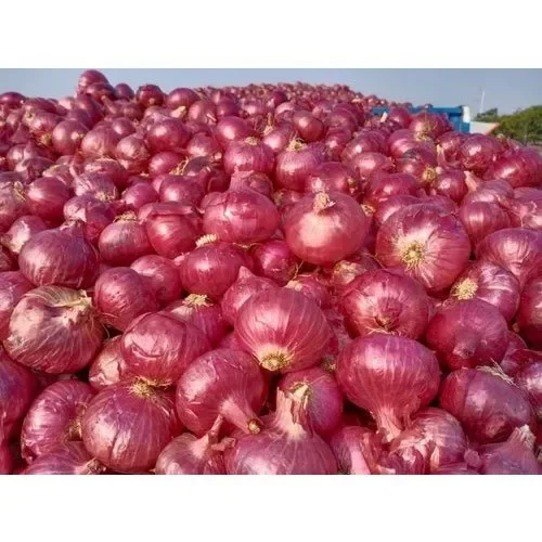 Hot Selling Good Quality Fresh Light Red Onions for Eatable Available at Wholesale Prices for Worldwide Export From India