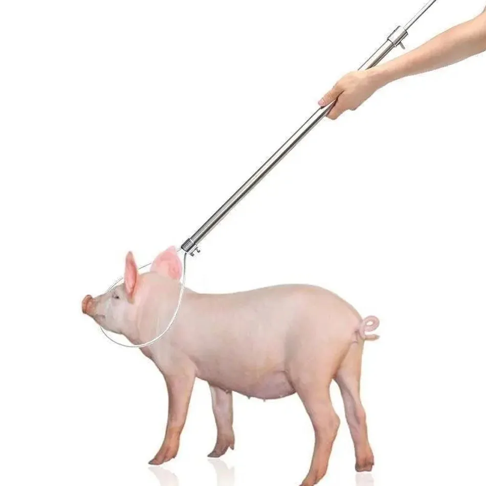 wholesale Pig Holder Hog Catcher Snare Veterinary Equipment Grip Handle Adjustable Stainless Steel Pig Holder