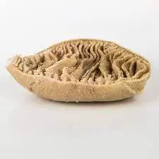 European best grade Fresh 500 tons Dry salted beef omasum / beef tripe beef omasum