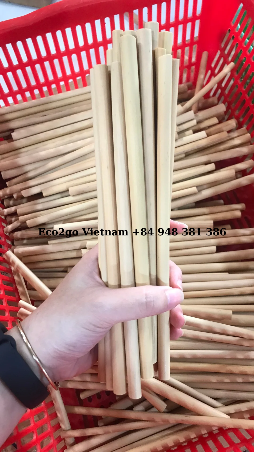 Biodegradable 100% Sustainable Bamboo Straws/ Straws Bamboo/ Reusable in Vietnam