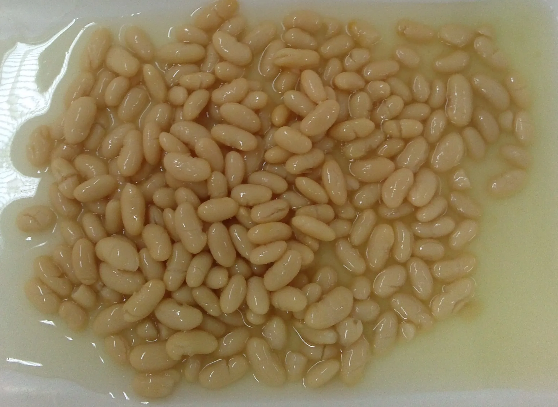 Итальянские консервированные продукты каннеллини с водой и солью 400 г приготовленные готовые к использованию