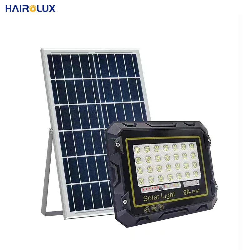 Hairolux наружные водонепроницаемые IP66 светодиодные фонари алюминиевые 100 Вт 1000 Солнечные прожекторы