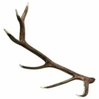 Natural  Red Deer Antlers