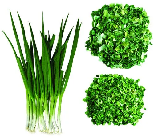 Best price high quality dried scallions supplier /holiday