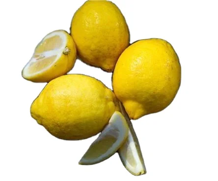 High quality Fresh Lemons 100% Natural from Manufacturer with Customized Packaging with best price
