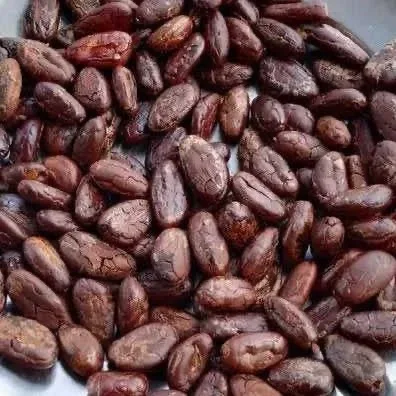 100% Cocoa Beans / Cocoa Seeds and Cocoa For Sale