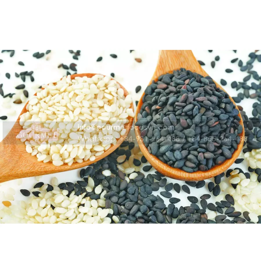 High Quality Raw Sesame Finest Quality of White Sesame Seed for Export 2022