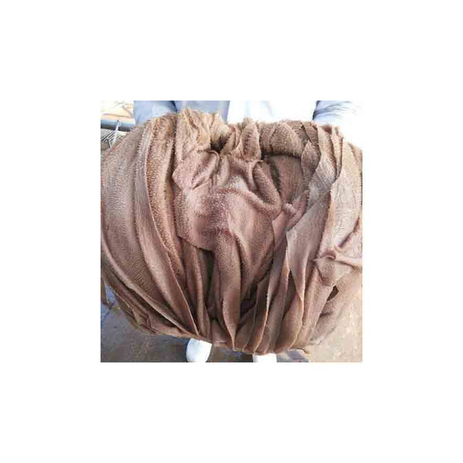 Salted & dried frozen & fresh omasum / beef meat omasum , High Quality Omasum / Omasum Suppliers from France