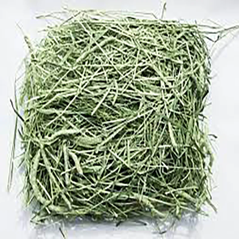 Good Quality Quality Timothy Hay Quality Alfalfa Hay/ Timothy Hay/ Lucerne Clover in Bales